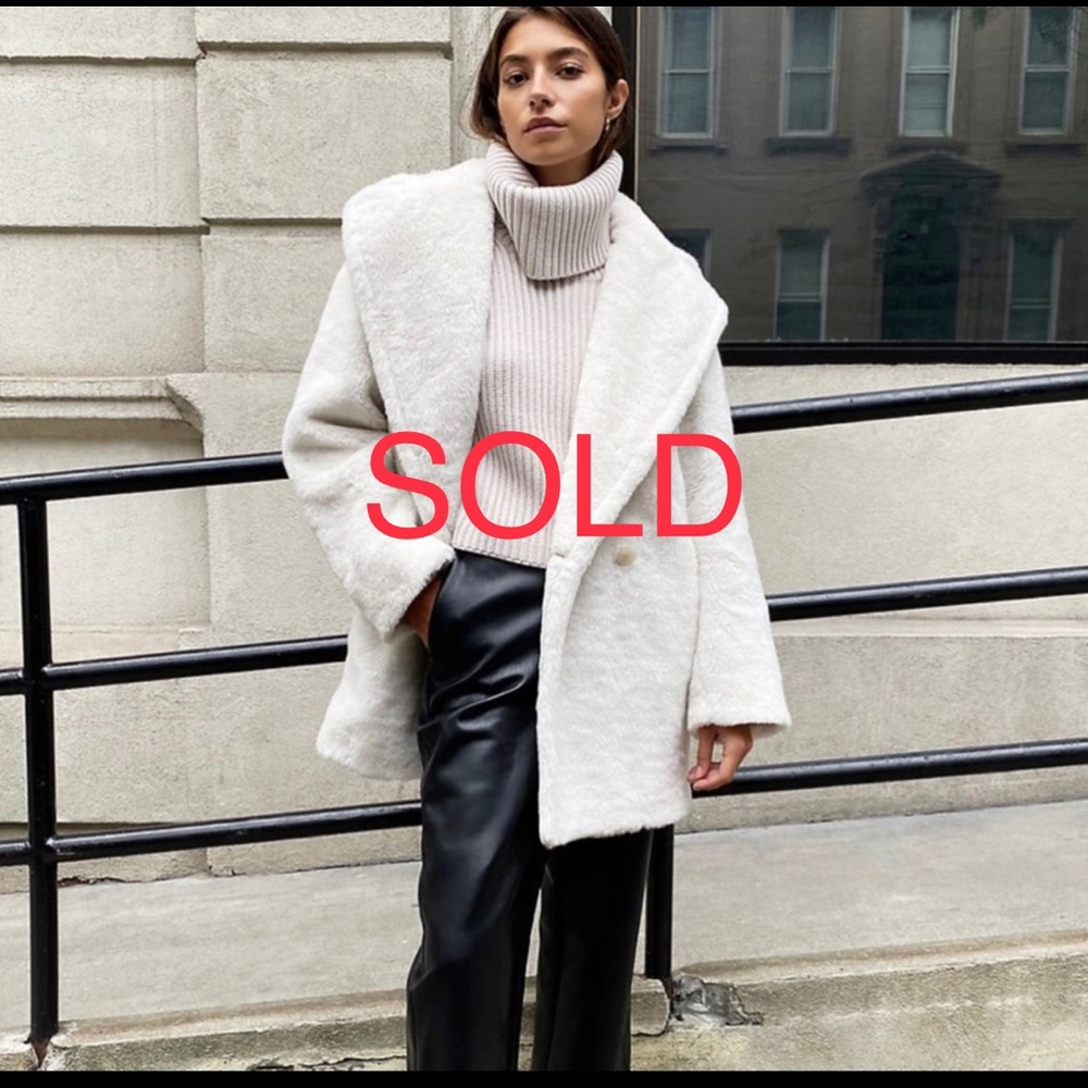 SOLD NWT Aritzia Babaton Teddy Coat - short